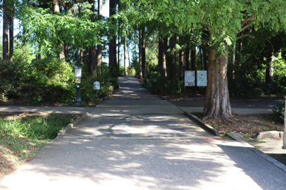 Entrance to Rhododendron Garden – paved and natural surface paths – map of plants